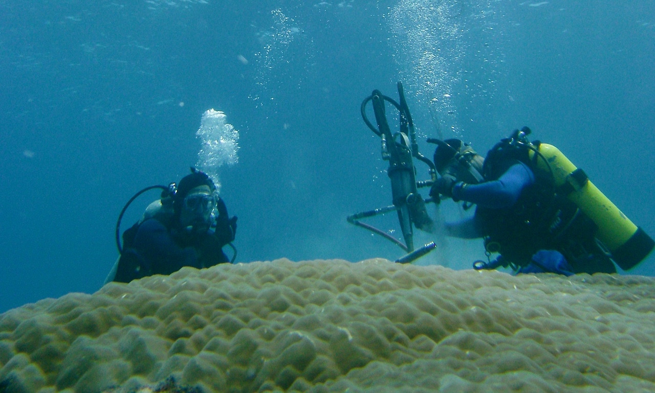 Scientists collect samples from a coral colony near American Samoa. (Photo: Brad Linsley)