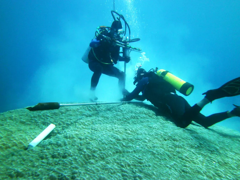 Brothers and Columbia University alumni Dirk Ziff (CC’88) and Daniel Ziff (CC’96) are jointly giving $2 million to the Center for Climate and Life to support research on climate change impacts, ocean health, and adaptation. (Photo courtesy of Brad Linsley)