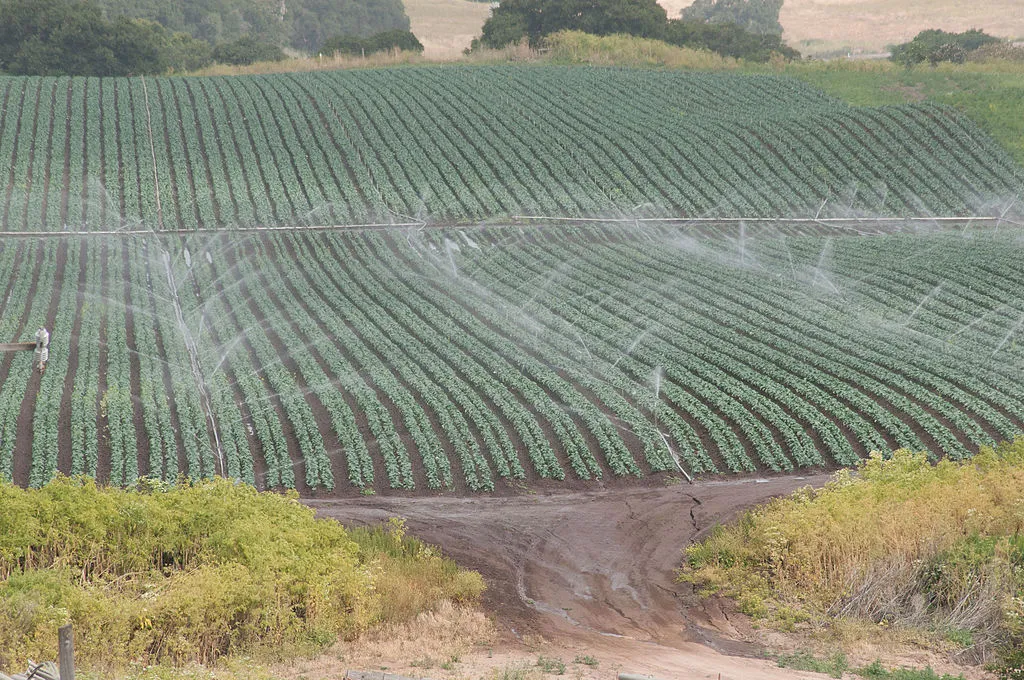 Irrigation in Salinas, Calif. Depletion of groundwater resources in the United States and other major food exporters could eventually threaten food security around the world, a new study says. (Photo: U.S. Department of Agriculture)