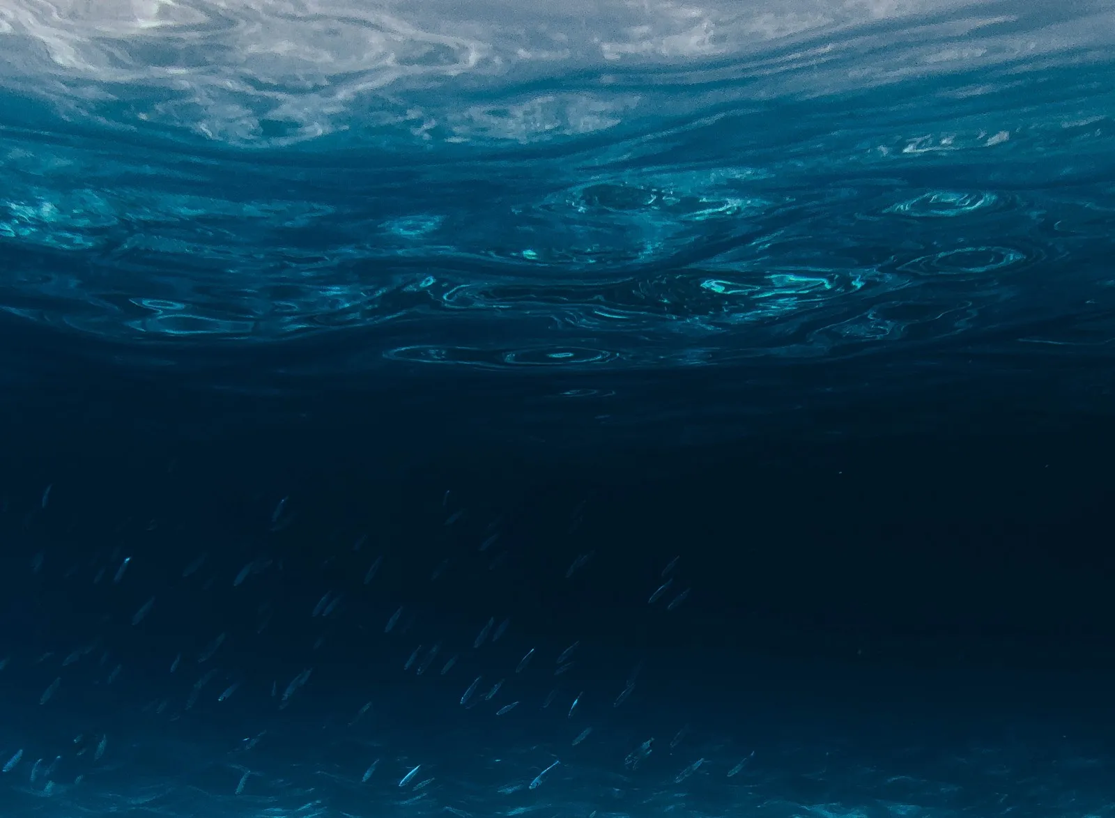 underwater scene