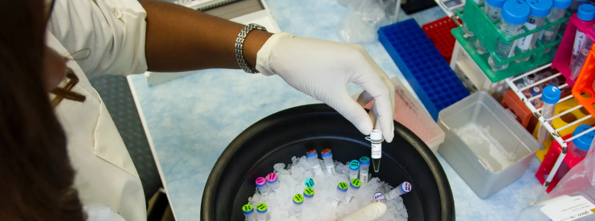 Student working in a lab