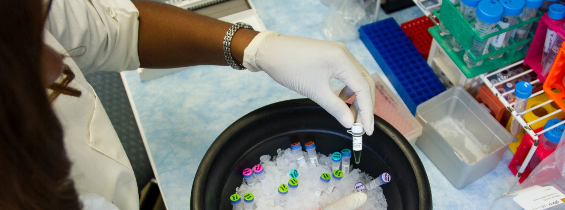 Student working in a lab