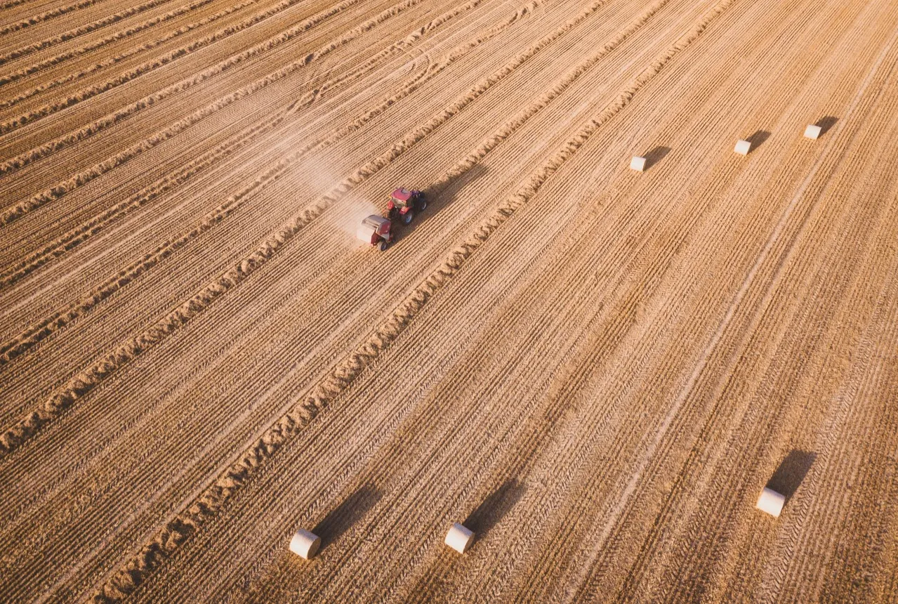 Farm field