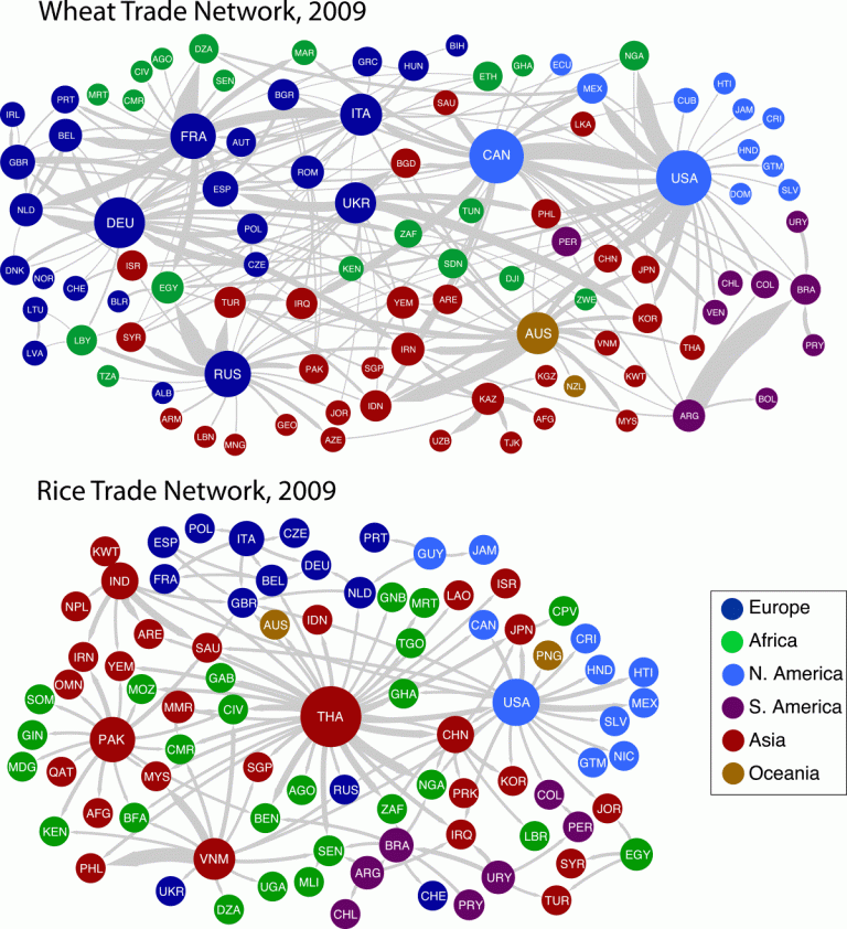 Network diagrams show the complexity of the wheat and rice trades. Line widths are proportional to the trade flow volume, while the size of the nodes is proportional to the average export degree of the node. The largest export links together account for 80% of the total trade for each network. (Image: Columbia University/CCSR/Michael Puma)