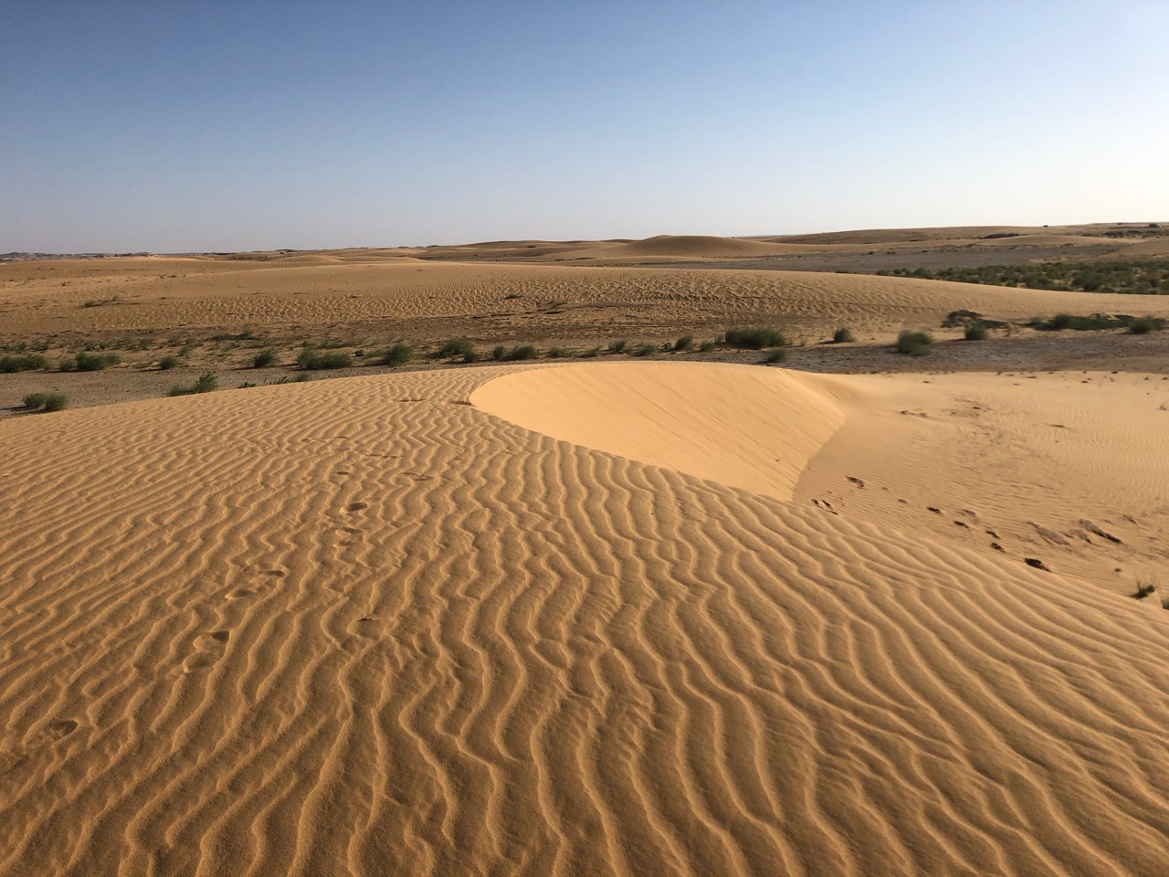 A view along the crest of a barkhan dune in the Sahara Desert, en route to Gobero, Niger in 2019.