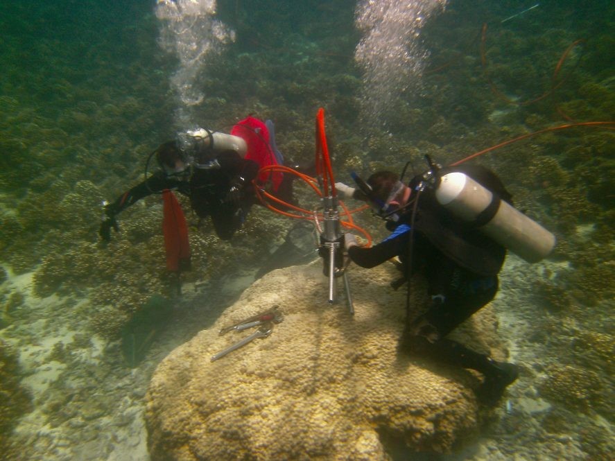 Scientists collect coral reef core samples in the Gulf of Chiriquí, on the Pacific coast of Panama. (Photo: Brad Linsley)