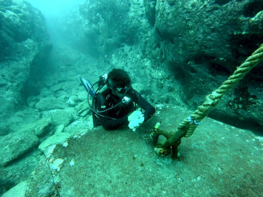 A scientist places pressure transducers in the inner lagoon of Temae, Moorea. (Photo: V. Parravicini)