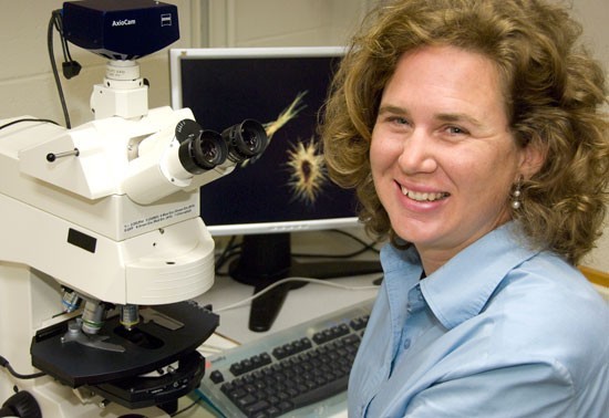 Sonya Dyhrman, a microbial oceanographer at Lamont-Doherty Earth Observatory and a scientist affiliated with the Center for Climate and Life. (Photo courtesy of Sonya Dyhrman)