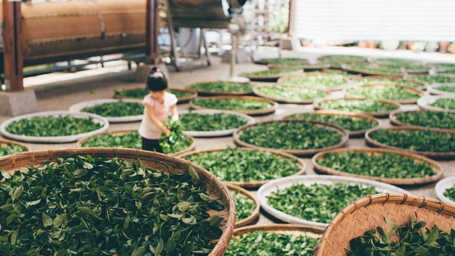 Girl among baskets of food