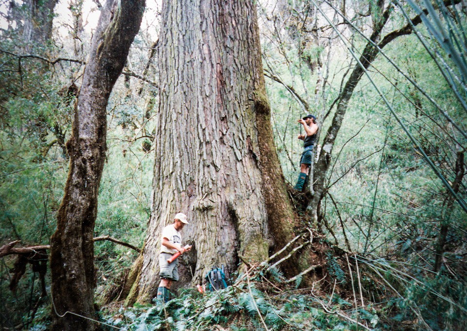 During fieldwork in Nepal in the 1990s, Cook and his colleagues found 1,200-year-old hemlock trees. To reach this site, Cook (left), Paul Krusic (right), and Brendan Buckley trekked for 13 days, cored trees for five days, and then hiked out. (Photo courtesy of Brendan Buckley)