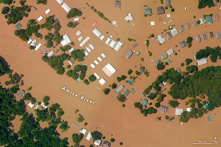 Flooding near Port Vincent, Louisiana. Image: NASA