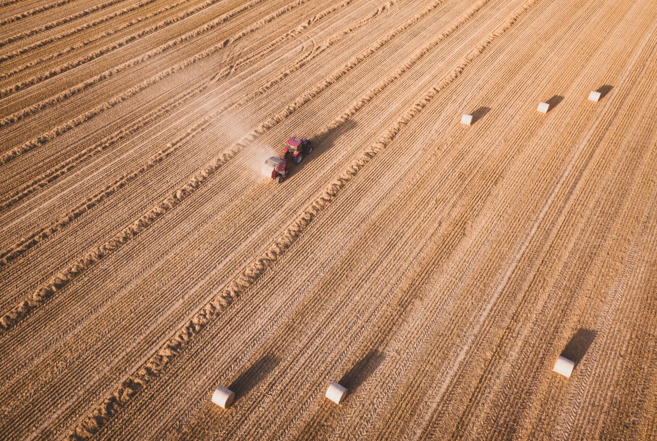 Farm field