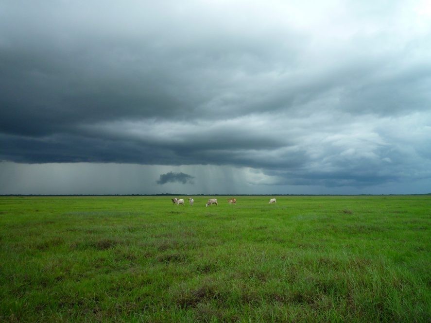 Storm over field